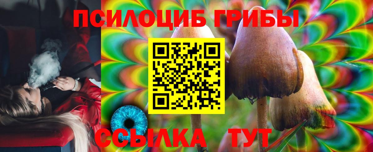 Псилоцибиновые грибы прущие грибы Щёкино